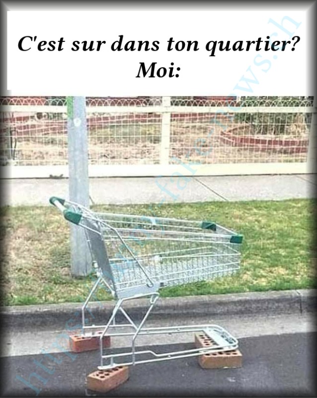 ffn_caddy.jpg (308.19 Kio) Consulté 156016 fois ffn_caddy.jpg