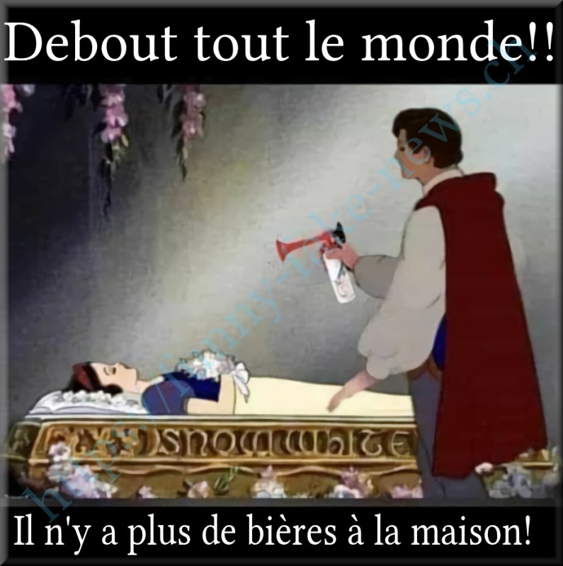 ffn_bieres.jpg (426.76 Kio) Consulté 183431 fois ffn_bieres.jpg